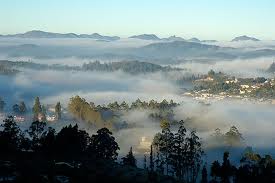 Ooty